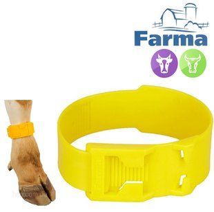 Ідентифікаційний браслет 37см для голені корів, на застібці FARMA ідентифікація тварини фото