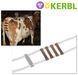 Бандажний Пояс для корів від пролапсу (від самоабортування) KERBL догляд за коровами фото 1