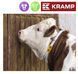 Ідентифікаційний ошийник 4*120см білий KRAMP нашийник для номерків фото 1